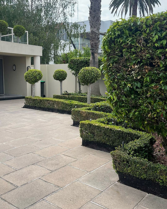 Expert Hedge Cutting Services: Precision, Care, and a Flawless Finish